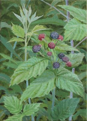 My Beloved Black Raspberries. 2023. oil on linen. 8 x 10.