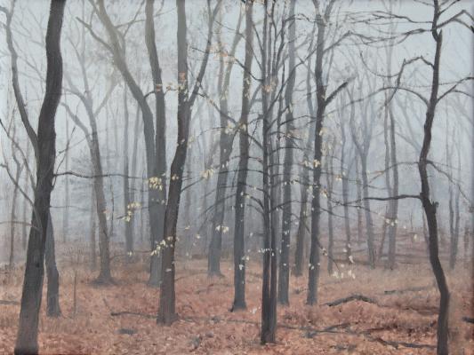 Beech. 2014. oil on linen. 9 x12.